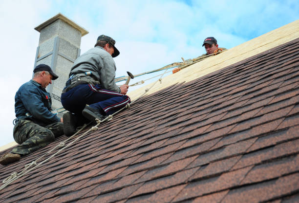 Roof Gutter Cleaning in Siler City, NC
